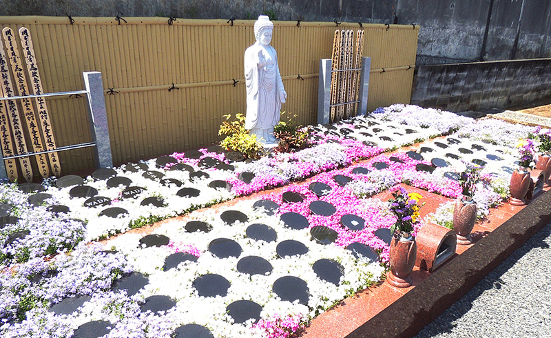 250ヵ寺からあなたに合うお墓が見つかる