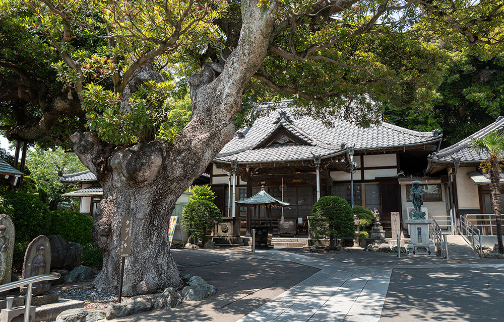 関東一円の寺院をご紹介