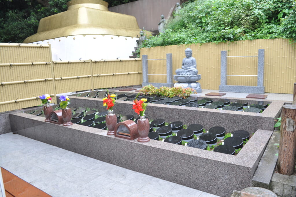 智光院