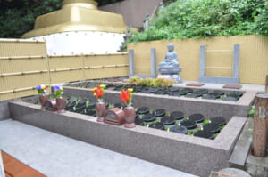 智光院
