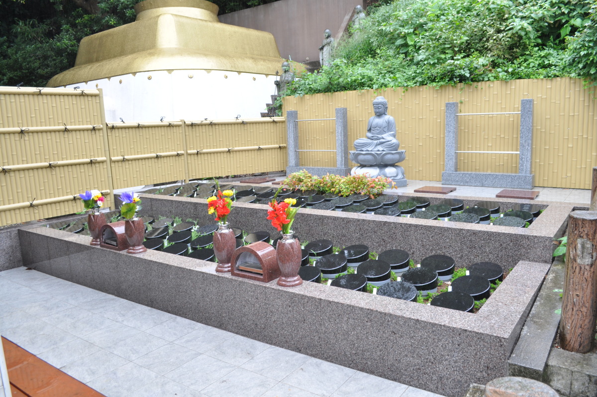 智光院