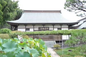 竺園寺