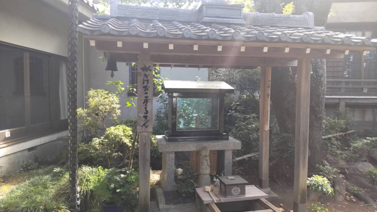 圓福寺