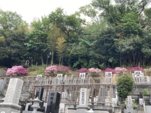 般若院