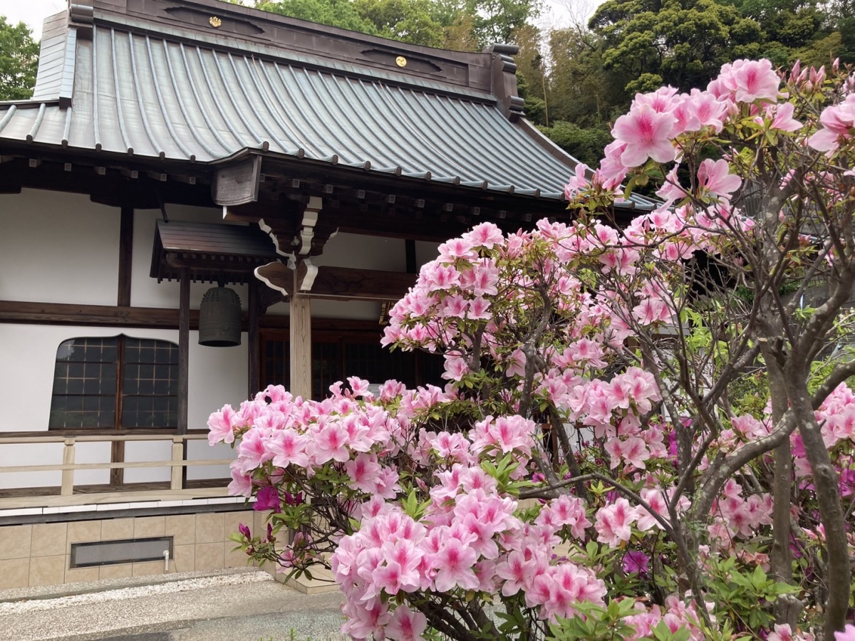 般若院