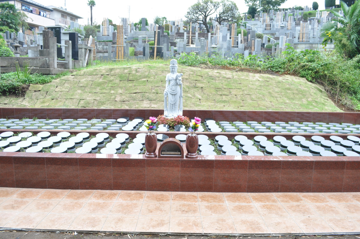 妙蓮寺