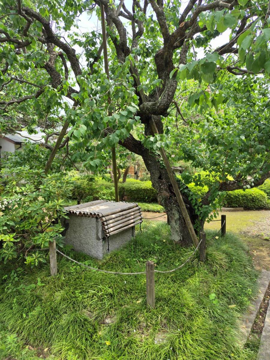 廣福寺