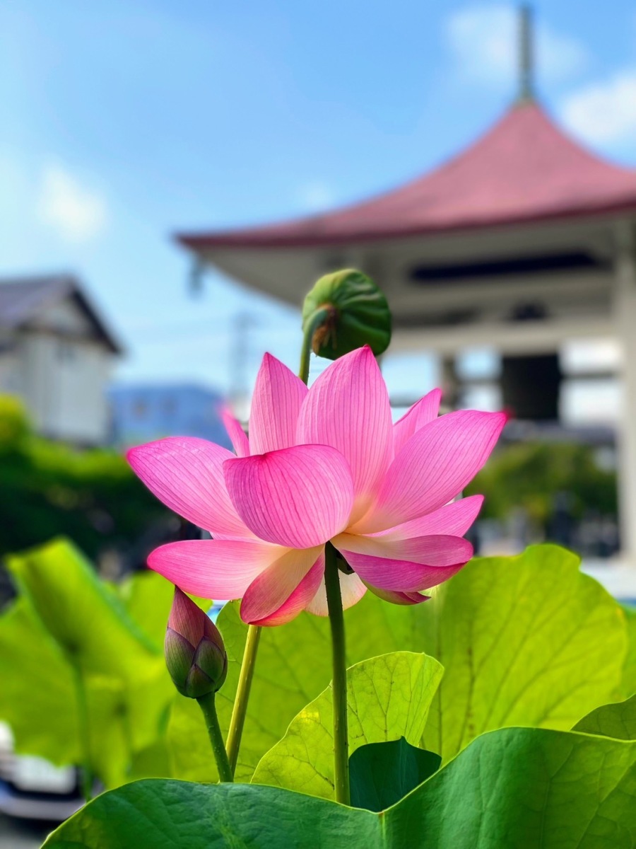 自證寺