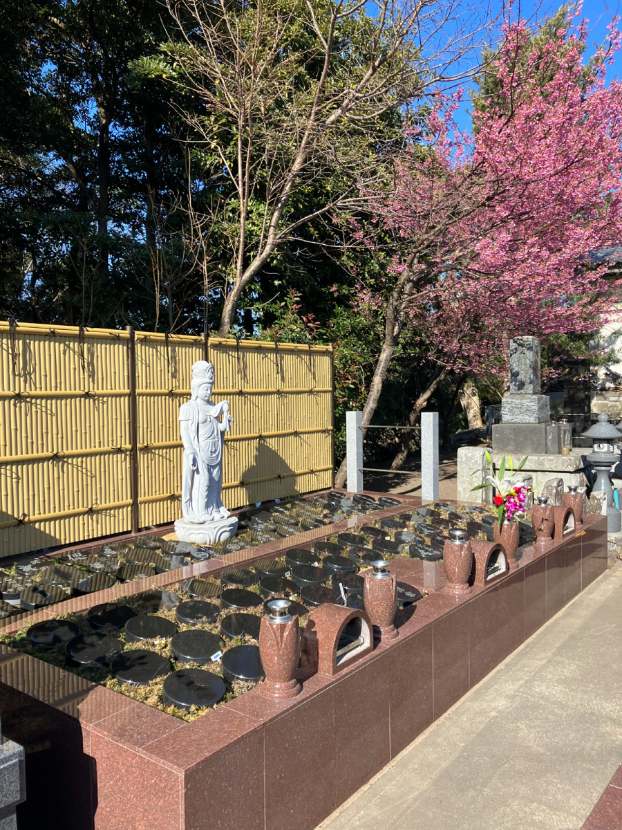 禅叢寺